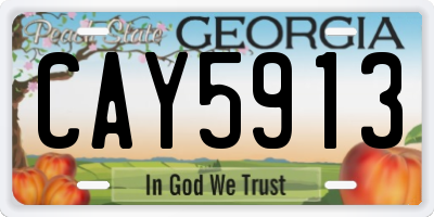 GA license plate CAY5913