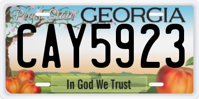 GA license plate CAY5923