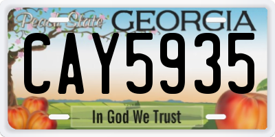GA license plate CAY5935