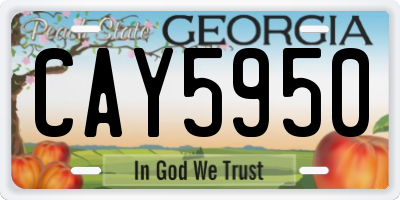 GA license plate CAY5950