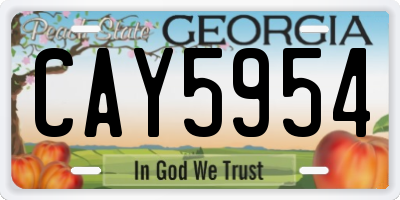 GA license plate CAY5954