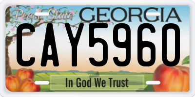 GA license plate CAY5960