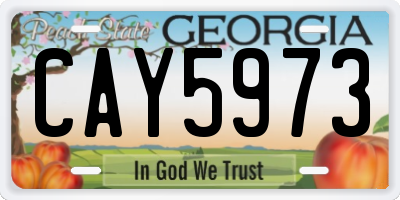 GA license plate CAY5973