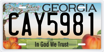 GA license plate CAY5981