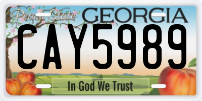 GA license plate CAY5989