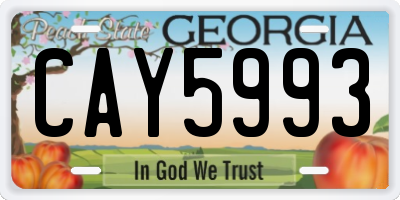 GA license plate CAY5993