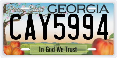 GA license plate CAY5994