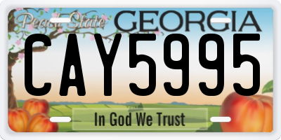 GA license plate CAY5995