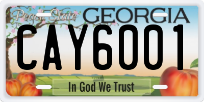 GA license plate CAY6001