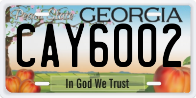 GA license plate CAY6002