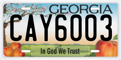 GA license plate CAY6003
