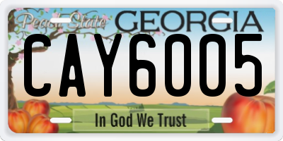 GA license plate CAY6005