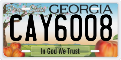 GA license plate CAY6008
