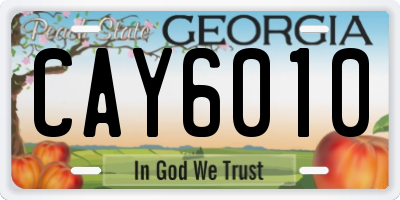 GA license plate CAY6010