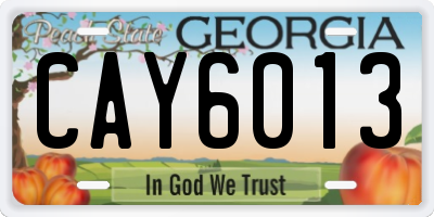 GA license plate CAY6013