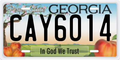 GA license plate CAY6014