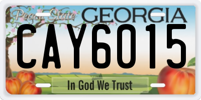 GA license plate CAY6015