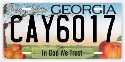 GA license plate CAY6017