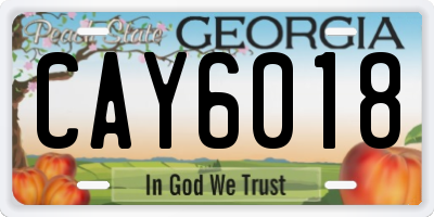 GA license plate CAY6018