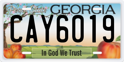 GA license plate CAY6019