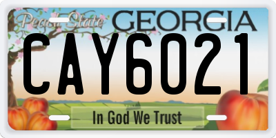 GA license plate CAY6021