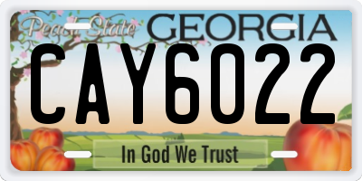GA license plate CAY6022