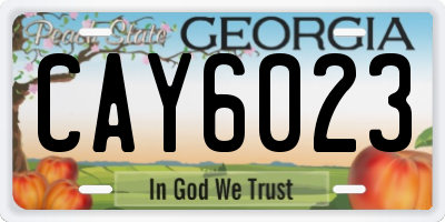 GA license plate CAY6023