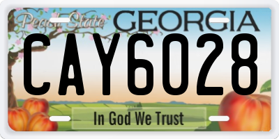 GA license plate CAY6028