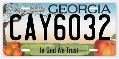 GA license plate CAY6032