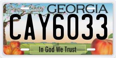 GA license plate CAY6033