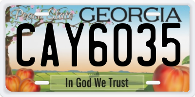 GA license plate CAY6035