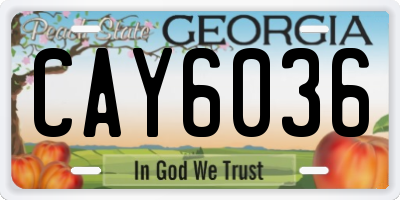 GA license plate CAY6036