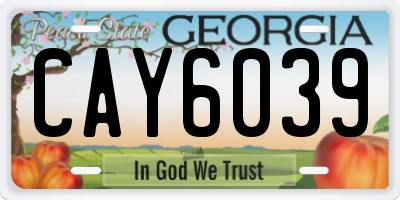 GA license plate CAY6039