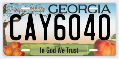 GA license plate CAY6040