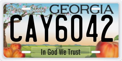 GA license plate CAY6042