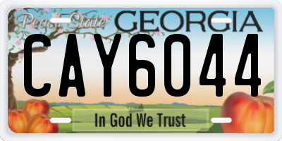 GA license plate CAY6044