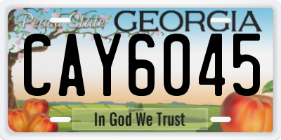 GA license plate CAY6045