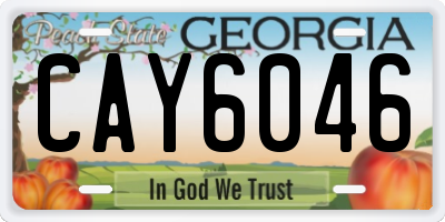 GA license plate CAY6046