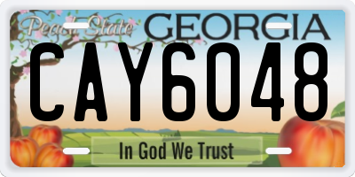 GA license plate CAY6048