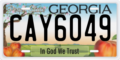 GA license plate CAY6049