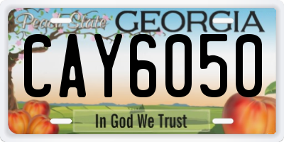 GA license plate CAY6050