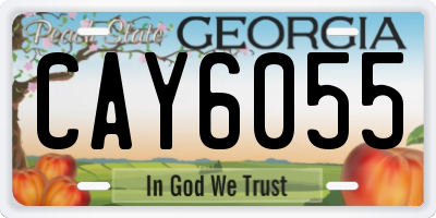 GA license plate CAY6055