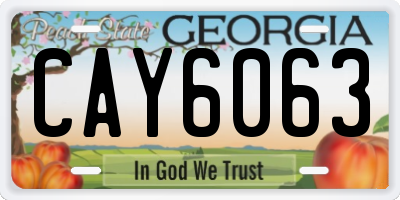 GA license plate CAY6063