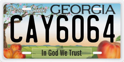 GA license plate CAY6064