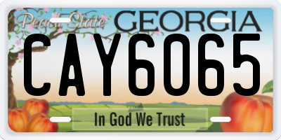GA license plate CAY6065