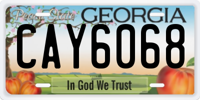 GA license plate CAY6068
