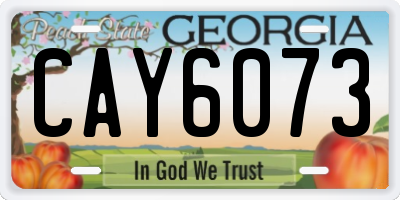 GA license plate CAY6073