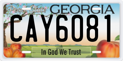 GA license plate CAY6081