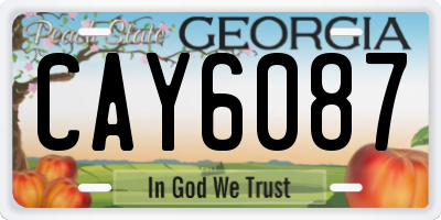 GA license plate CAY6087