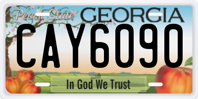 GA license plate CAY6090